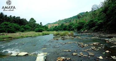 a river with rocks and rocks in the foreground