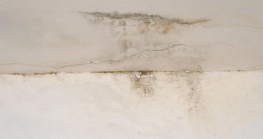 Water damage and black mold growth on a white ceiling with cracks indicating a roof leak.