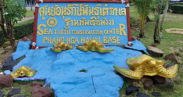 thailand khao lak turtle conservation centre
