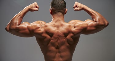 Rear view of a muscular bodybuilder flexing well-defined back muscles and biceps in a double bicep pose.