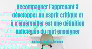 accompagner pour l’efficacité de sa stratégie blended learning