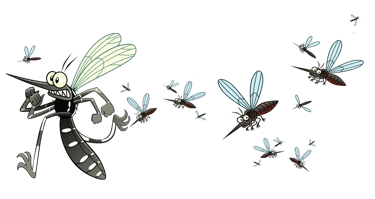 Insecticide à base de pyrèthre naturel