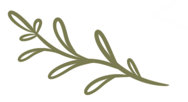 a branch of olives with leaves