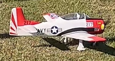 Chuck P T28 (small) Maiden