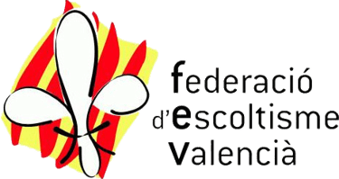 logo fev