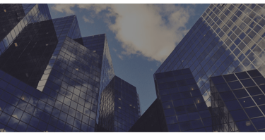 Below are example website styles created for different types of local and professional businesses