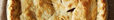 X AVION: Running for Pie