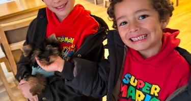 Rescatar un perro en España