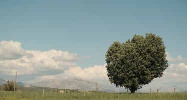 Documentaire Lost Tapes