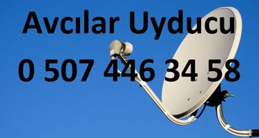 avcılar uyducu çanak anten Televizyon servisi