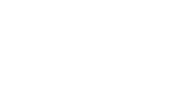 ANS Dizital