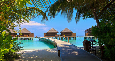 Tropical beach path to ocean bungalows with palm trees and aqua water—Maldives overwater resort accommodations