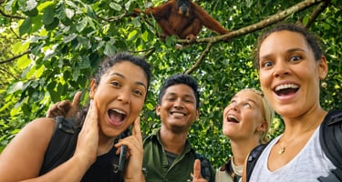 Trekking orangutan tours sumatra
