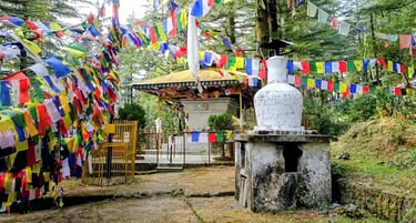Peaceful atmosphere in Dharamkot village near Mcleodganj Himachal.