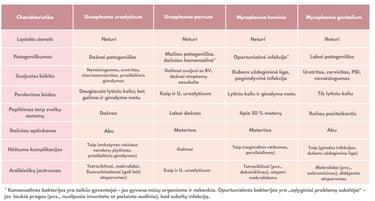 Ureaplazmų ir Mikoplazmų palyginimas - lentelė