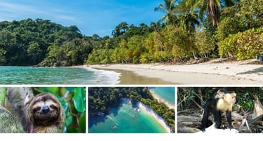 Vida selvagem e praias preservadas no Parque Nacional Manuel Antonio, Costa Rica