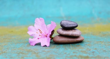 Flor e pedras em fundo azulado