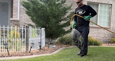 Lawn Fertilizer and weed control company