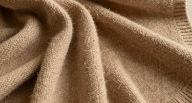 A moody walnut-toned living room bathed in warm amber light, showcasing a serene and inviting atmosphere.