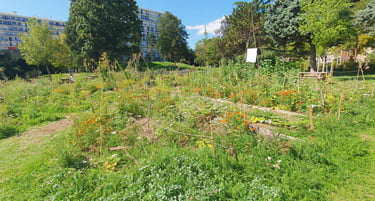 Jardin comestible parc Pablo neruda Villejuif