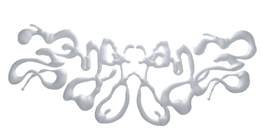 titre zyggyz blanc organique