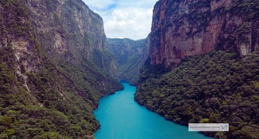 Viajes Bojórquez