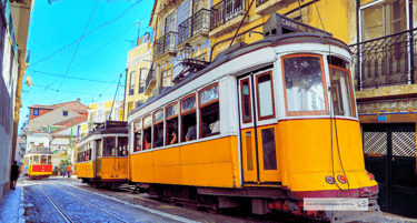 viajes bojórquez oficial