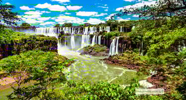 Viajes Bojórquez