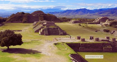 Viajes Bojórquez