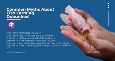 Common myths about fish farming debunked