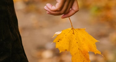 Een hand houdt een herfstblad vast als metafoor voor kiezen wat je meeneemt en wat je laat gaan.