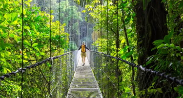 A hiker with a backpack walks across a metal suspension bridge in a lush tropical rainforest canopy.