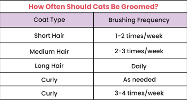 How Often Should Cants be Groomed