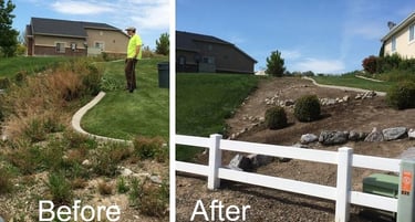 weed removal company