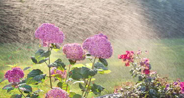 Irrigation repair company