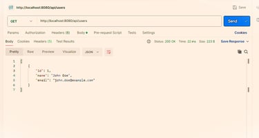 POSTMAN api testing GET endpoint of REST API in Java Springboot