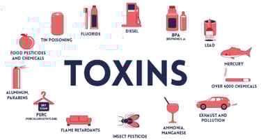 Toxins in our environment that kill us