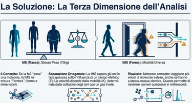 IMS La teradimensione dell'analisi