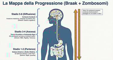 le due teorie Braak e Zombosomi