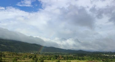 best resort in kerala