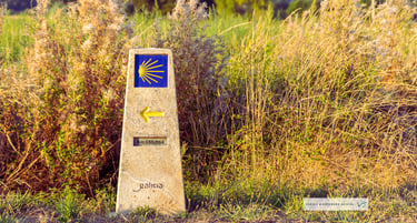 Viajes Bojórquez