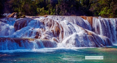 Viajes Bojórquez Oficial