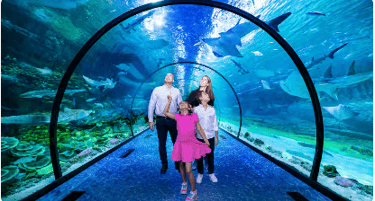 National Aquarium Abu Dhabi