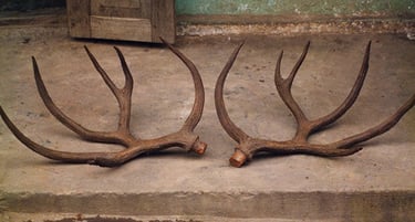 Deer Antlers - Yellowstone Vacation Rentals - Little Trail Creek Cabins - Gardiner Montana