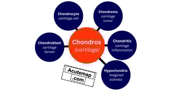 Chondros Root Word Vocabulary SSC UPSC