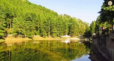 a serene spot for nature and reflection, Dal Lake, McLeod Ganj, Dharamshala.
