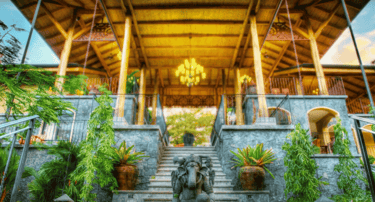 Bodhi Tree Yoga Resort