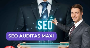 SEO auditas MAXI