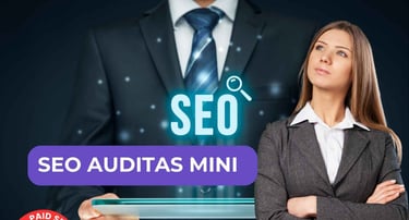 SEO auditas MINI