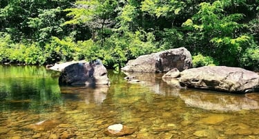 Soddy Daisy, TN - You'll have to cross the N. Chickamauga Creek to get the blue hole swim area